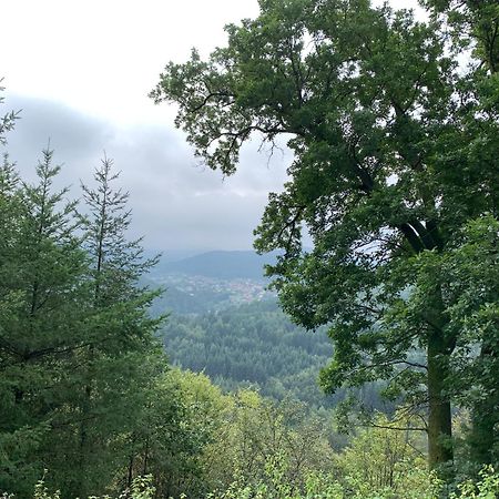 Camping De La Sarre Abreschviller Esterno foto