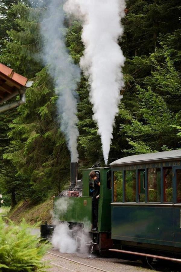 Camping De La Sarre Abreschviller Esterno foto