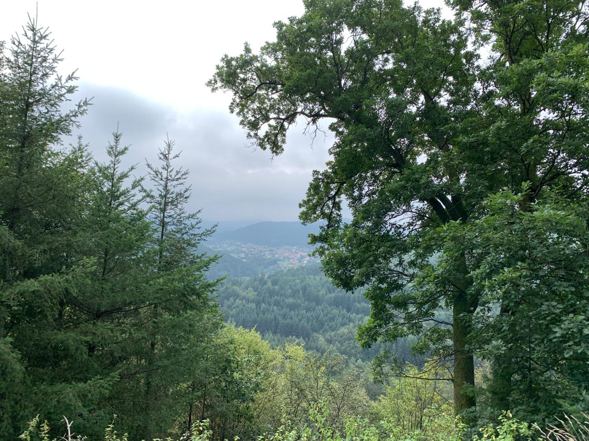 Camping De La Sarre Abreschviller Esterno foto